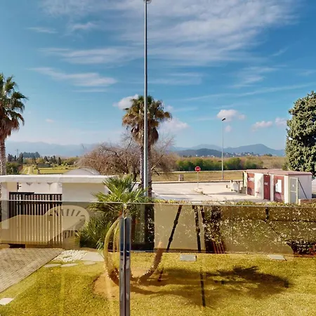 Greenery By On Travel Oliva